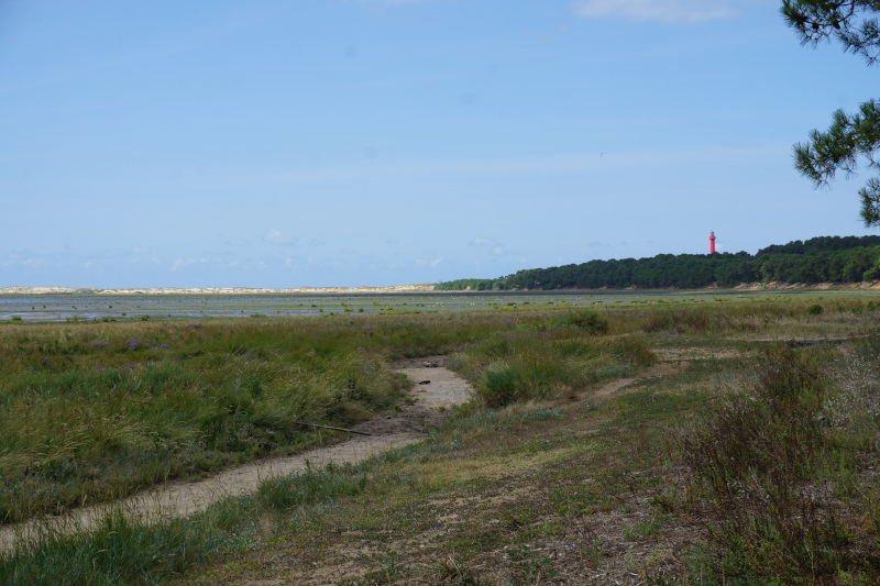 Bonne-Anse à marée basse et le phare de la Coubre