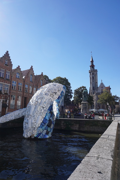 Une baleine de plastique à Brugge