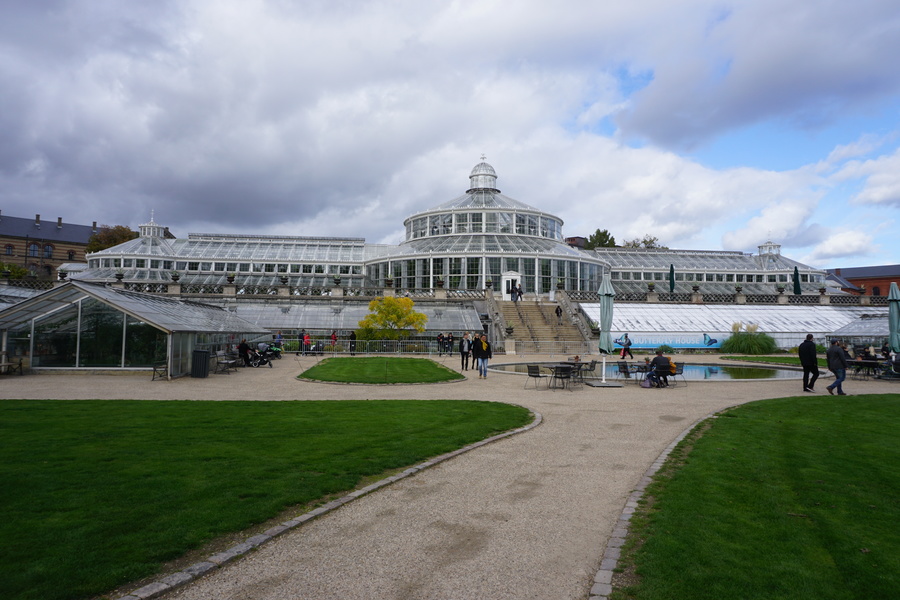 La palmeraie