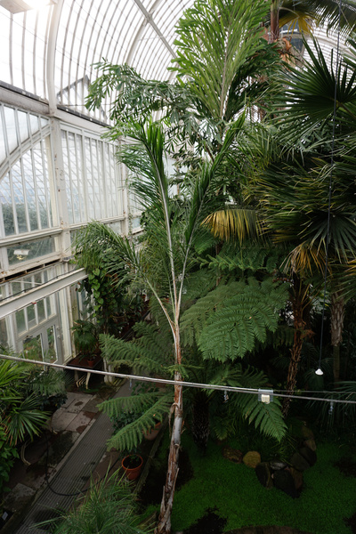 La serre du jardin botanique