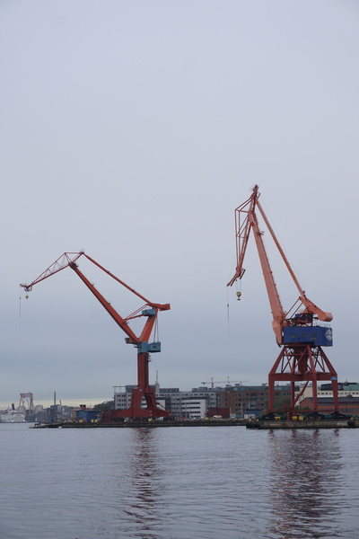 Les grues du port